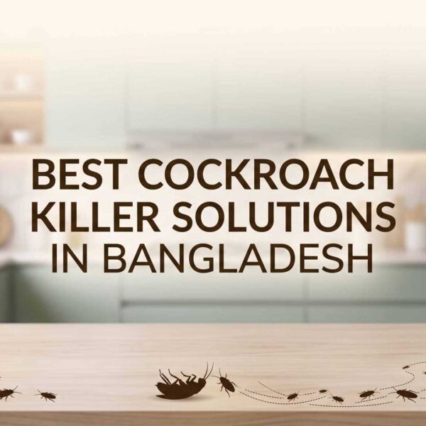 Cockroach killing solution Bangladesh