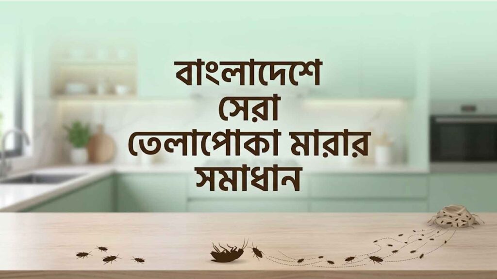 বাংলাদেশে তেলাপোকা মারার সেরা ৯টি ঔষধ ও সমাধান