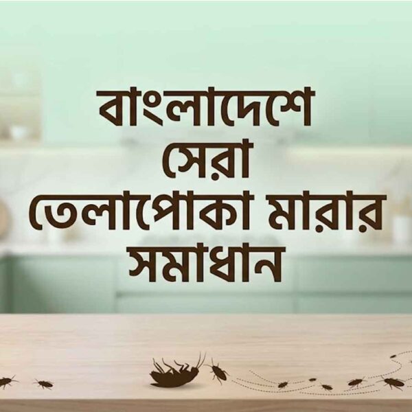 বাংলাদেশে তেলাপোকা মারার সেরা ৯টি ঔষধ ও সমাধান